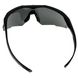 Revision Stingerhawk Eyewear with Smoke Lens, Black, Large, Smoky, Goggles