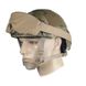 Desert Locust Weather Goggle Kit, Foliage Green, Transparent, Smoky, Mask