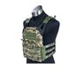 Flyye JPC VEST Plate Carrier (Used), AOR2