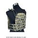 Flyye JPC VEST Plate Carrier (Used), AOR2