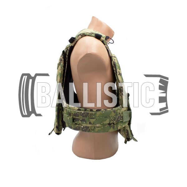 Emerson CP Style Adaptive Vest -Heavy Version, AOR2, Plate Carrier